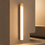 Rechargeable Motion Sensor LED Light